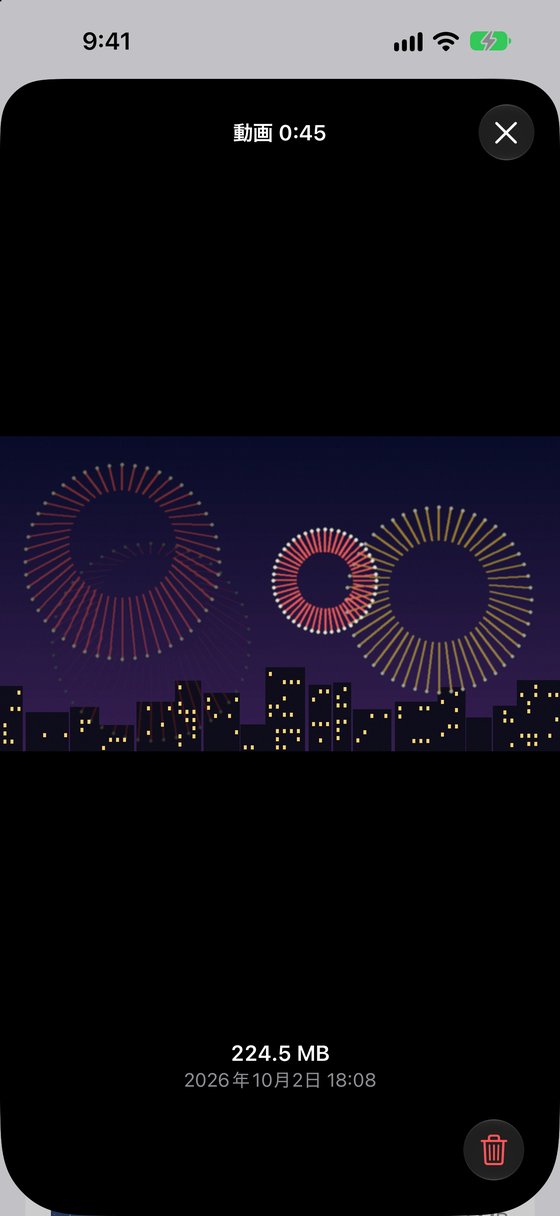 花火の動画を開いて確かめている画面。224.5 MB と日付、右下にゴミ箱のボタン